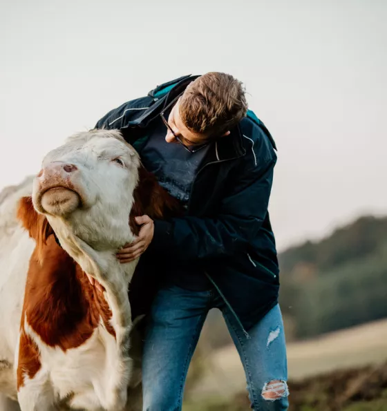 valeurs colostrum