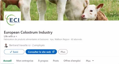 LinkedIn